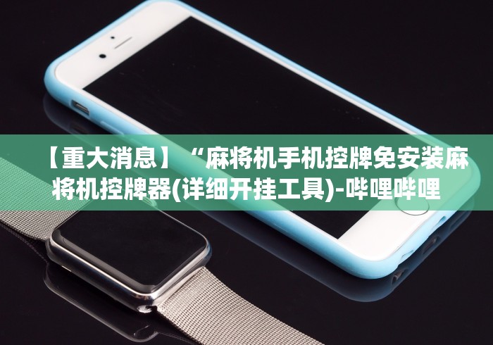 【玩家必看】“控牌器免安装”原来确实真的有挂(详细教程)