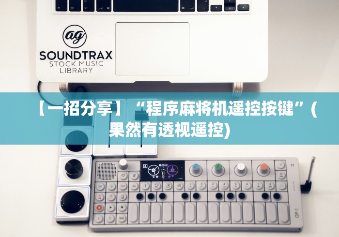 【一招分享】“程序麻将机遥控按键”(果然有透视遥控)