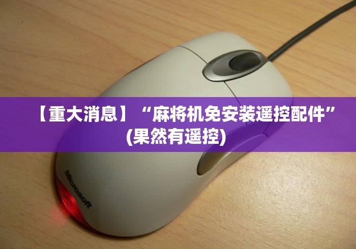 【重大消息】“麻将机免安装遥控配件”(果然有遥控) 