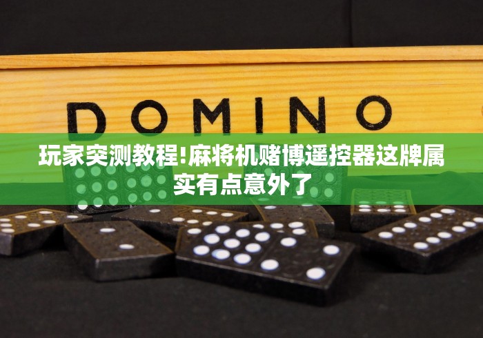 终于知道”泰州麻将机程控器”-遥控神器-包教包会