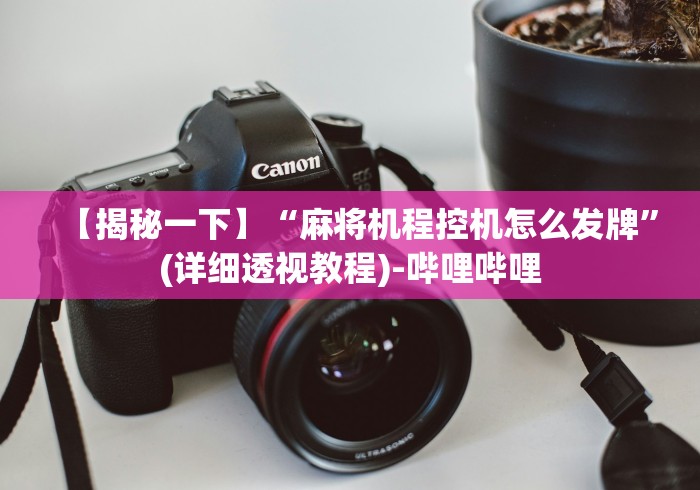 【揭秘一下】“麻将机程控机怎么发牌”(详细透视教程)-哔哩哔哩