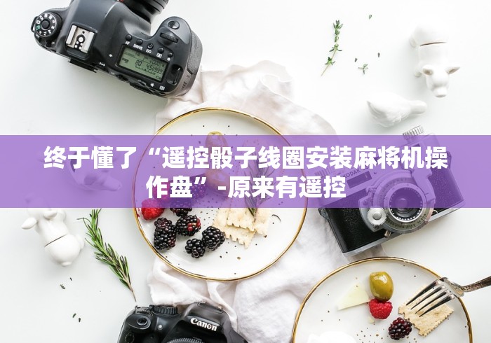 终于懂了“遥控骰子线圈安装麻将机操作盘”-原来有遥控 终于懂了“遥控骰子线圈安装麻将机操作盘”-原来有遥控