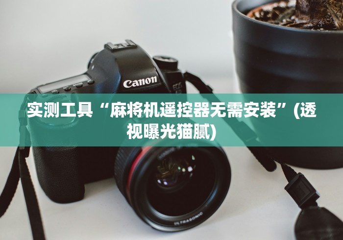 实测工具“麻将机遥控器无需安装”(透视曝光猫腻)