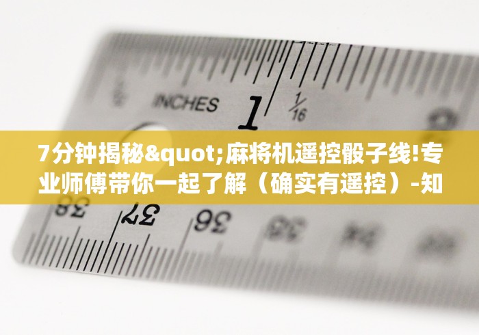 2分钟玩家科普”自动麻将机遥控器免安装”(详细透视教程)-哔哩哔哩