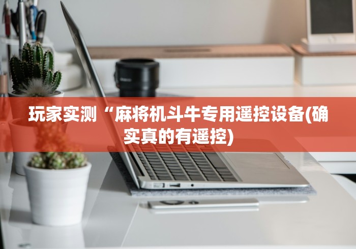 玩家辅助神器:“免安装程控器自动麻将机”-原来有遥控