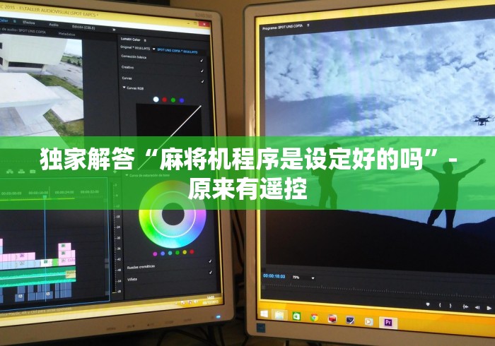 独家解答“麻将机程序是设定好的吗”-原来有遥控