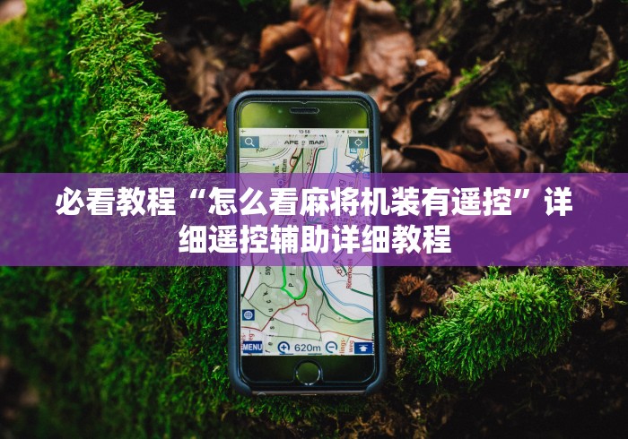 五分钟了解"麻将机程序控牌器改装配件!(确实真的是有遥控)-知乎