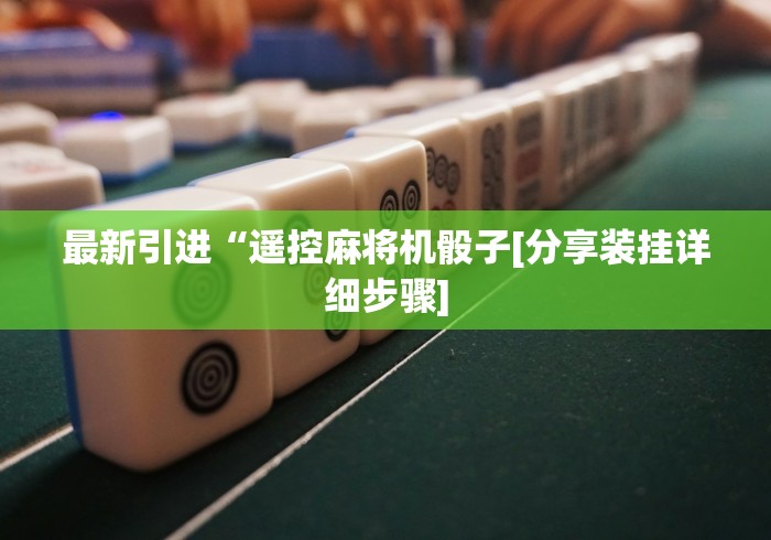 我来告诉你”麻将机遥控器怎么操作使用方法”(原来确实是有插件) 