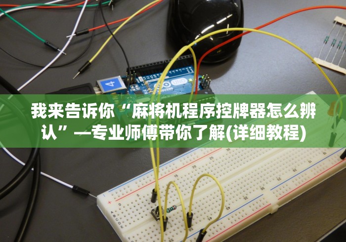 我来告诉你“麻将机程序控牌器怎么辨认”—专业师傅带你了解(详细教程)