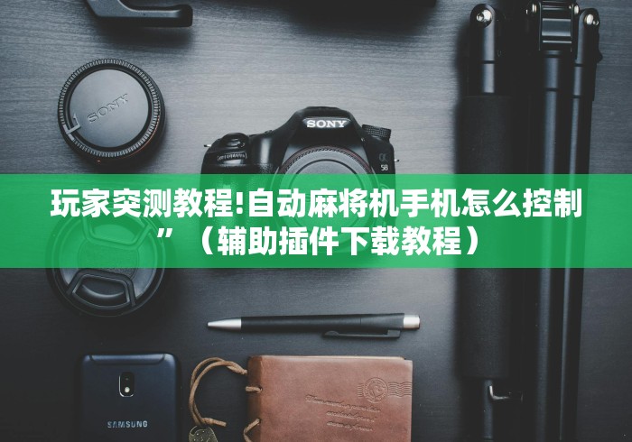 玩家突测教程!自动麻将机手机怎么控制”（辅助插件下载教程）