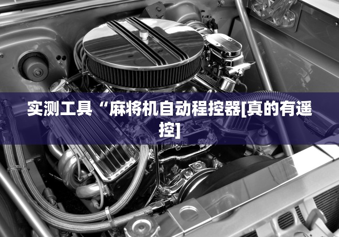 实测工具“麻将机自动程控器[真的有遥控]