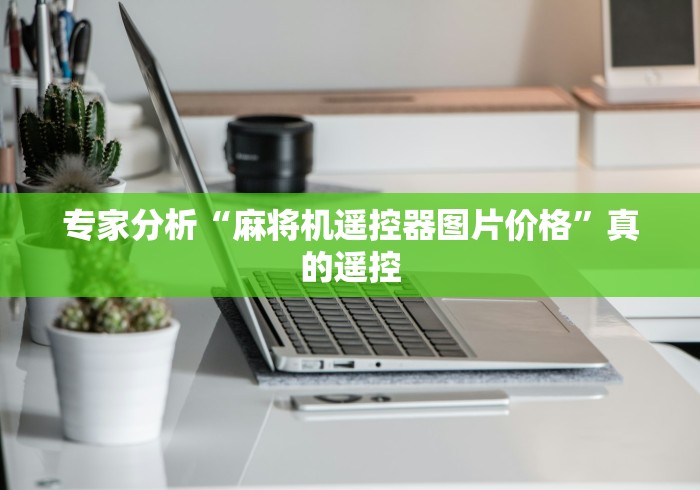 玩家实测“普通麻将机遥控器功能”(详细透视教程)-哔哩哔哩