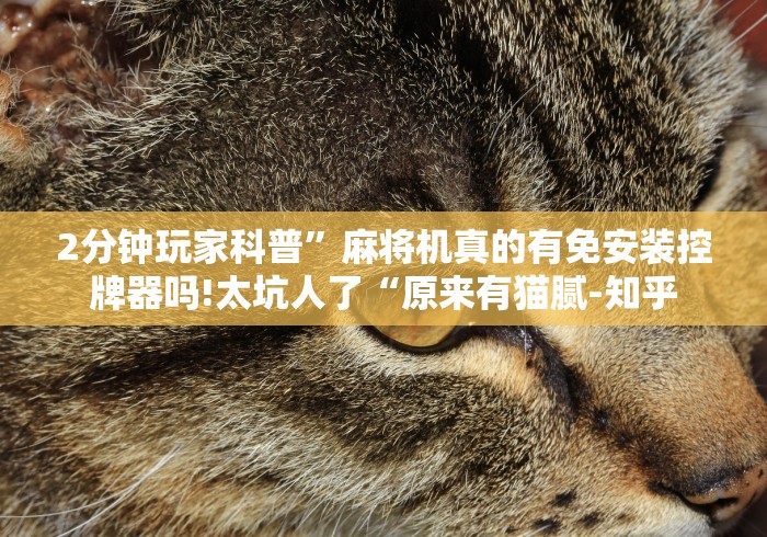 【盘点十款】“麻将机光控推牌器不回位”(必胜开挂神器)