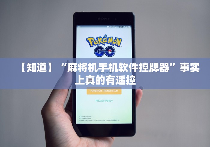 玩家实测“普通麻将机遥控器功能”(详细透视教程)-哔哩哔哩