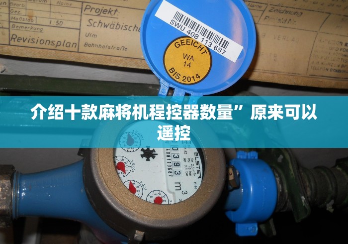 介绍十款麻将机程控器数量”原来可以遥控