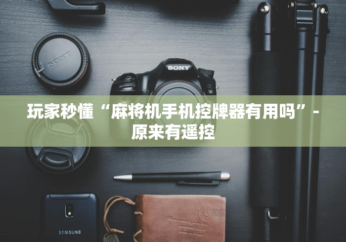 玩家秒懂“麻将机手机控牌器有用吗”-原来有遥控