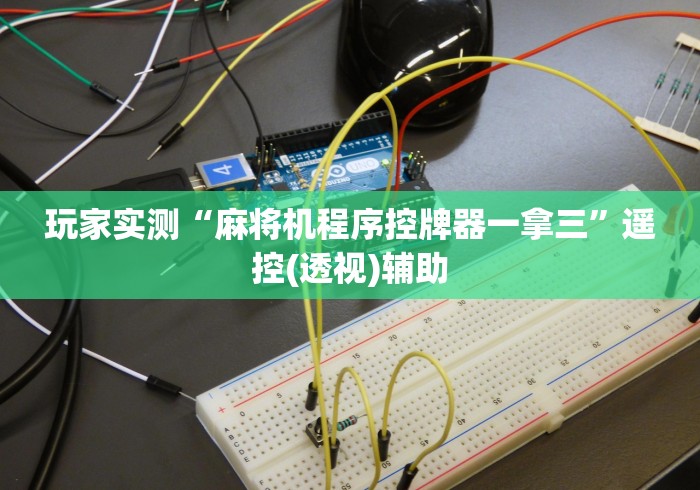 玩家实测“麻将机程序控牌器一拿三”遥控(透视)辅助 玩家实测“麻将机程序控牌器一拿三”遥控(透视)辅助