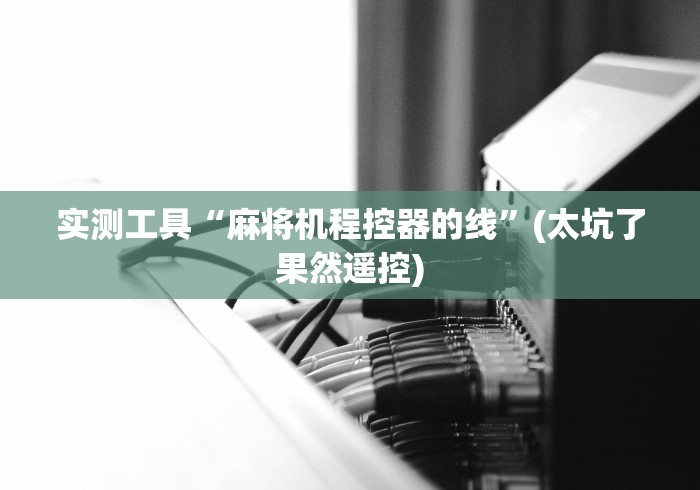 实测工具“麻将机程控器的线”(太坑了果然遥控)