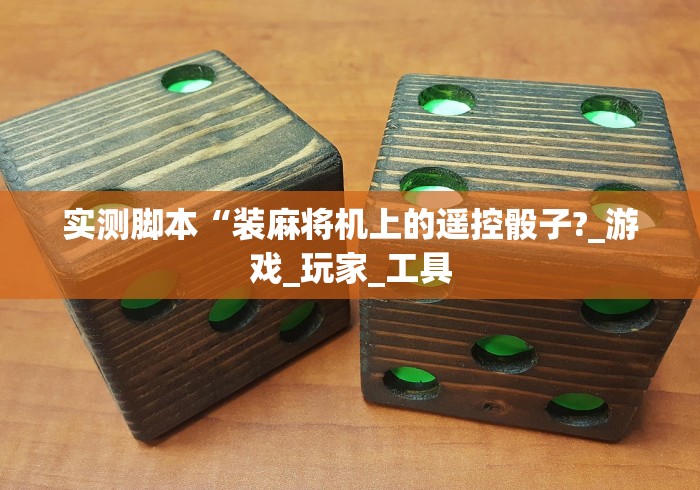 实测脚本“装麻将机上的遥控骰子?_游戏_玩家_工具 实测脚本“装麻将机上的遥控骰子?_游戏_玩家_工具