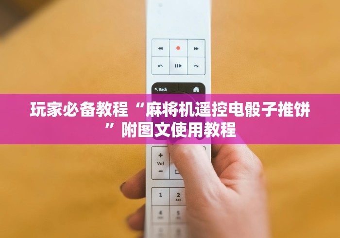 玩家必备教程“麻将机遥控电骰子推饼”附图文使用教程