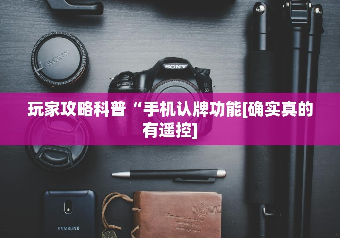 玩家攻略科普“手机认牌功能[确实真的有遥控]