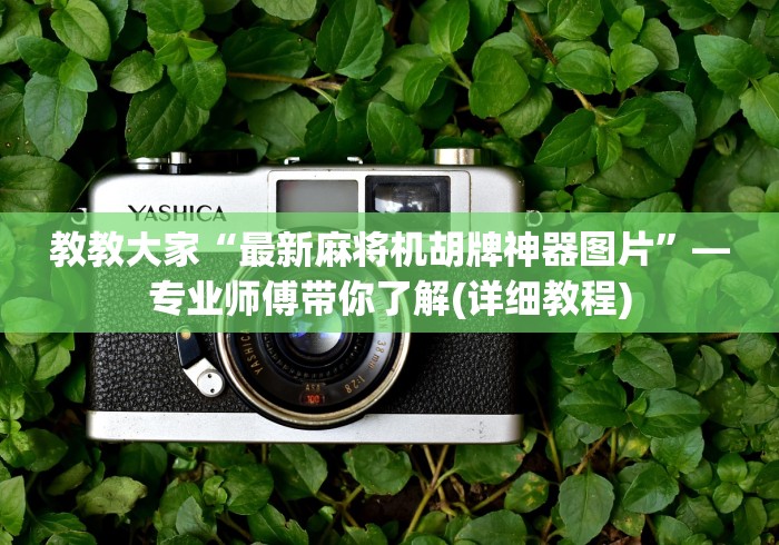 教教大家“最新麻将机胡牌神器图片”—专业师傅带你了解(详细教程)