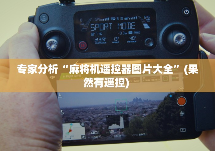 专家分析“麻将机遥控器图片大全”(果然有遥控) 