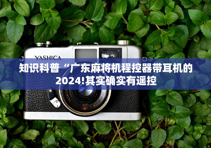 实测工具“怎么识别带遥控麻将机!太坑人了“原来有猫腻-知乎 实测工具“怎么识别带遥控麻将机!太坑人了“原来有猫腻-知乎