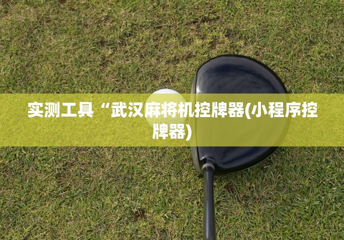 实测工具“武汉麻将机控牌器(小程序控牌器)