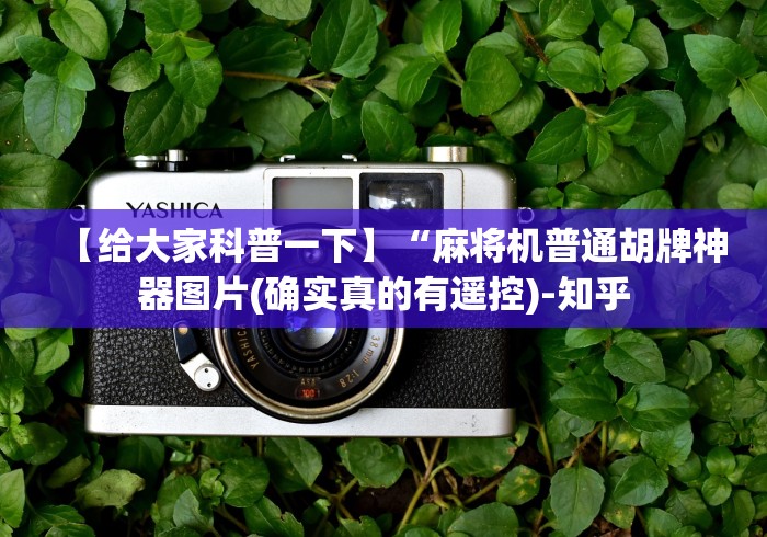 【给大家科普一下】“麻将机普通胡牌神器图片(确实真的有遥控)-知乎 【给大家科普一下】“麻将机普通胡牌神器图片(确实真的有遥控)-知乎