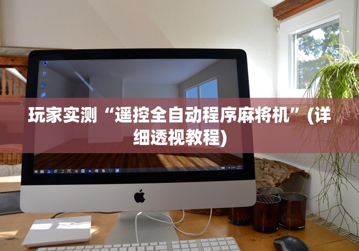 玩家实测“遥控全自动程序麻将机”(详细透视教程)