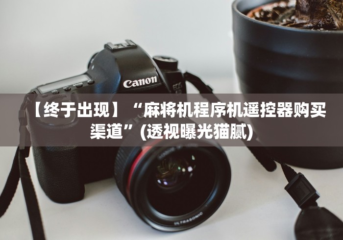 【终于出现】“麻将机程序机遥控器购买渠道”(透视曝光猫腻)