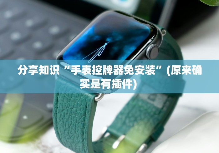 分享知识“手表控牌器免安装”(原来确实是有插件) 