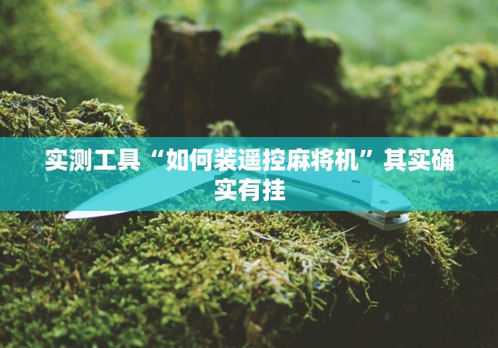 实测工具“如何装遥控麻将机”其实确实有挂