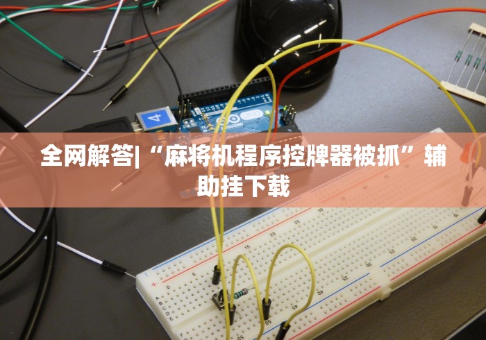 全网解答|“麻将机程序控牌器被抓”辅助挂下载