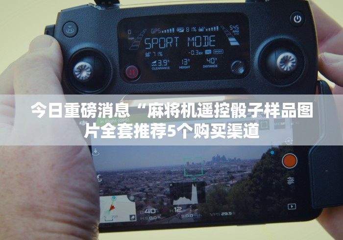 今日重磅消息“麻将机遥控骰子样品图片全套推荐5个购买渠道