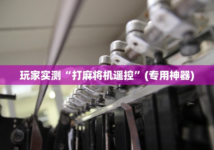 玩家实测“打麻将机遥控”(专用神器)