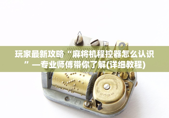 玩家最新攻略“麻将机程控器怎么认识”—专业师傅带你了解(详细教程)