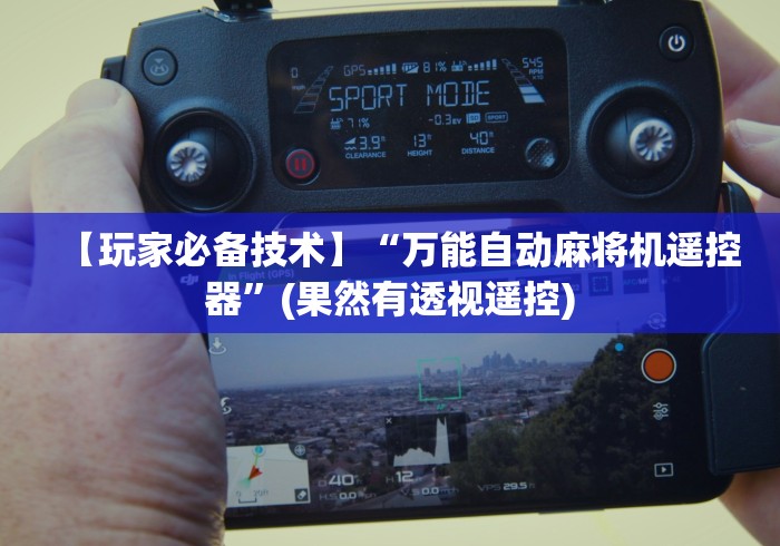 【玩家必备技术】“万能自动麻将机遥控器”(果然有透视遥控)