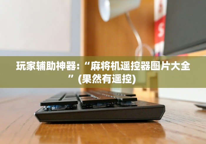 玩家辅助神器:“麻将机遥控器图片大全”(果然有遥控) 