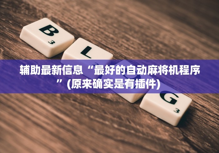 辅助最新信息“最好的自动麻将机程序”(原来确实是有插件) 