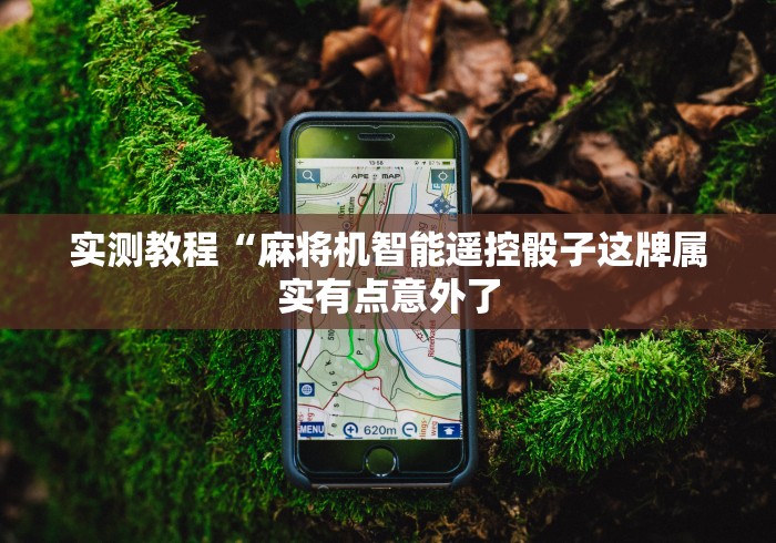 实测教程“麻将机智能遥控骰子这牌属实有点意外了