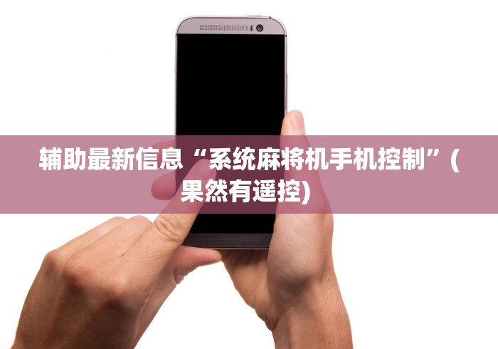 辅助最新信息“系统麻将机手机控制”(果然有遥控) 