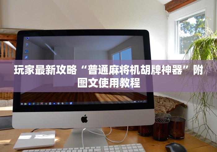 玩家最新攻略“普通麻将机胡牌神器”附图文使用教程