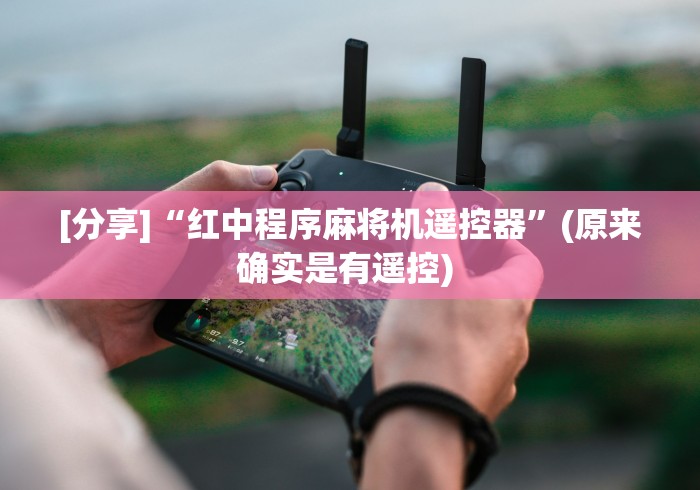 [分享]“红中程序麻将机遥控器”(原来确实是有遥控) 