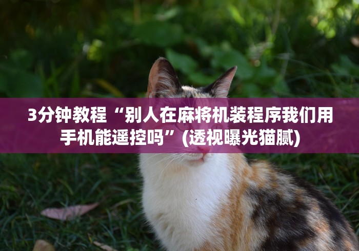 3分钟教程“别人在麻将机装程序我们用手机能遥控吗”(透视曝光猫腻)