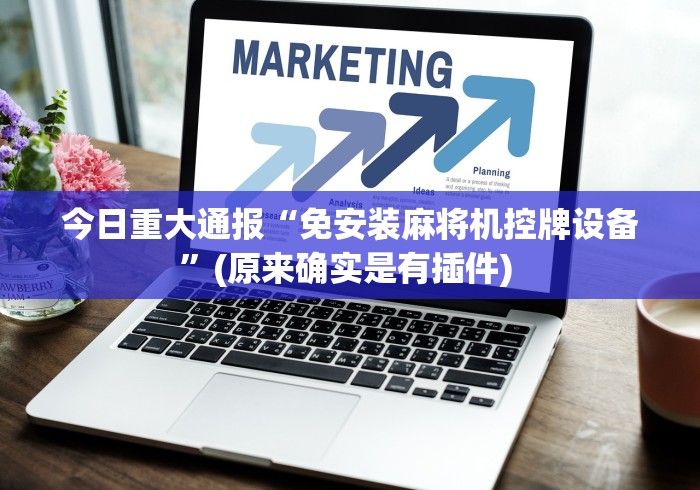 今日重大通报“免安装麻将机控牌设备”(原来确实是有插件) 今日重大通报“免安装麻将机控牌设备”(原来确实是有插件)